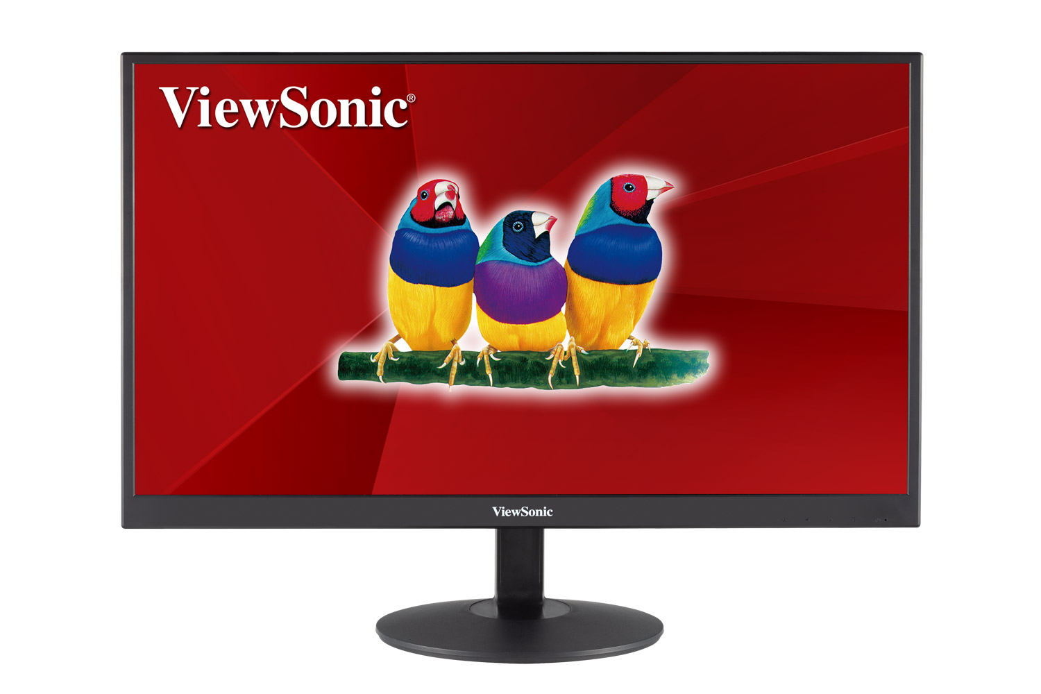 viewsonic-24inh-bh-3-thang